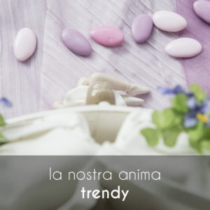 anima_trendy_cover