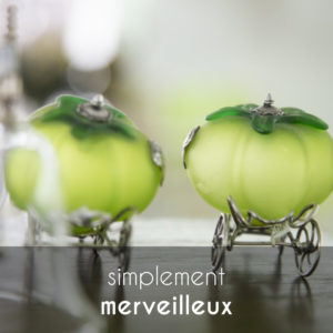 simplement_merveilleux_cover
